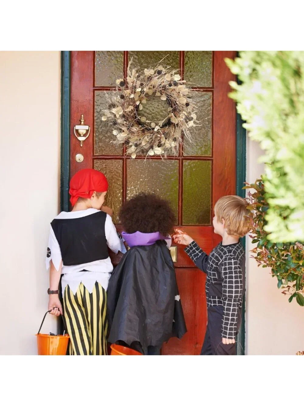 24-Inch Autumn Wreath for Front Door Decor with Pinecones & Red Berries